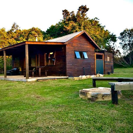 Pura Vida Forest Cabin Witelsbos Екстериор снимка